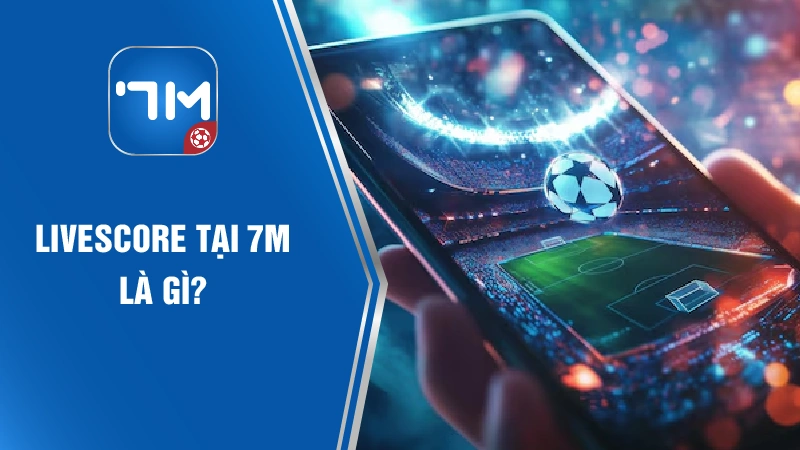 Livescore 7M là gì?